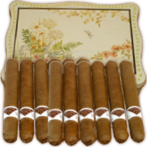 Bild von 40 NEUE Fresh Cigar hell, im Cellophan