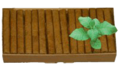 Bild von 50 es ganz gueti ganzjahres Summer-Stümpli