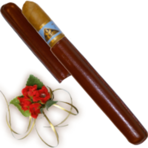 Bild von 1 Lederetui braun, gefüllt mit einer feinen Cigarre