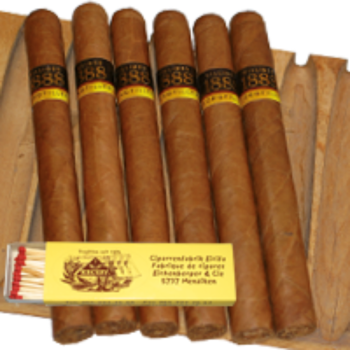 Bild von 6 Extra Corona