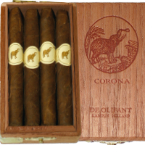 Bild von 10 De Olifant Corona brasil