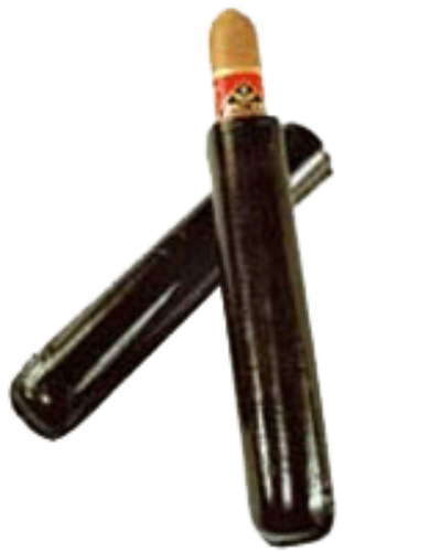 Bild von Ledercigarren-Etui mit einer feinen Cigarre
