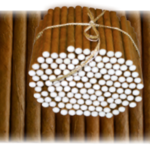 Bild von 100 Cigarillos Finos MIT Filter zum sehr guten Preis