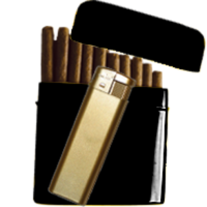 Bild von Dekoratives schwarzes Etui gefüllt mit feinen Cigarillos mit Filter & Feuerzeug