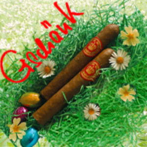 Bild von Gschänk: 2 Eicifa-Cigarren (Top & Privat), 1 Postkarte und ein kleiner Schoggihase