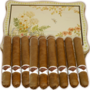 Bild von 40 NEUE Fresh Cigar hell, im Cellophan