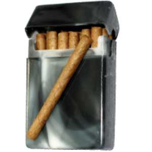 Bild von Etui gefüllt mit 20 Cigarillos ohne Filter