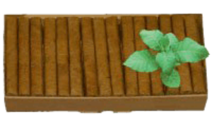 Bild von 50 es ganz gueti ganzjahres Summer-Stümpli