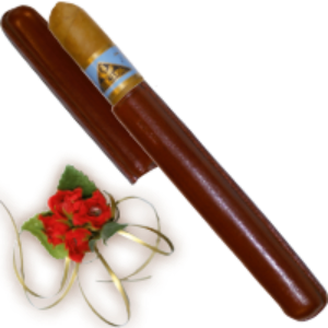 Bild von 1 Lederetui braun, gefüllt mit einer feinen Cigarre