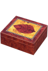 Bild von Humidor mit Tabakblatt 25