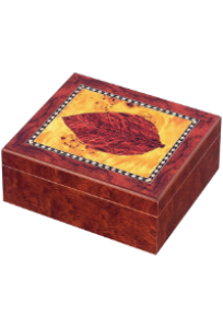 Bild von Humidor mit Tabakblatt 25