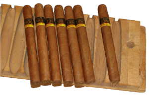 Bild von 25 Extra Corona hell 1888