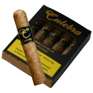 Bild von La Primera Robusto 5 Stk.