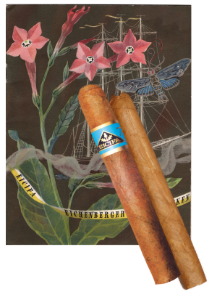 Bild von Gschänk: 1 Top Cigarre, 1 Eicifa- Huusmarke N°1, 1 Postkarte
