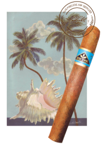 Bild von 1 Top Cigarre, 1 Muschel, 1 Eicifa-Karte mit Muschel
