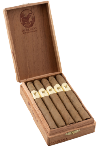 Bild von 10 De Olifant Corona sumatra