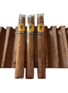 Bild von 3 Santa Damiana Classic Coronas. Handgerollte Importcigarre aus der Dominikanischen Republik. Im Karton