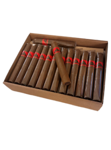 Bild von 25 Privat Cigarren, hell, im Karton