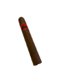 Bild von 25 Privat Cigarren, hell, im Karton